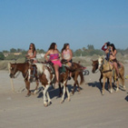 Horseback Riding